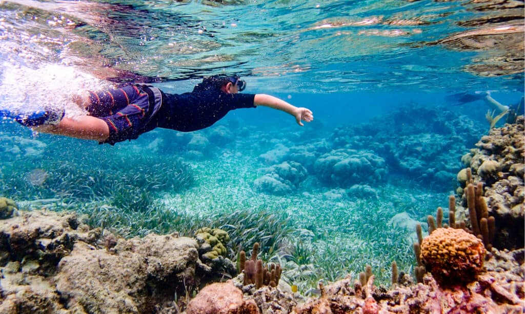 Most Exotic Islands - Reef in Belize