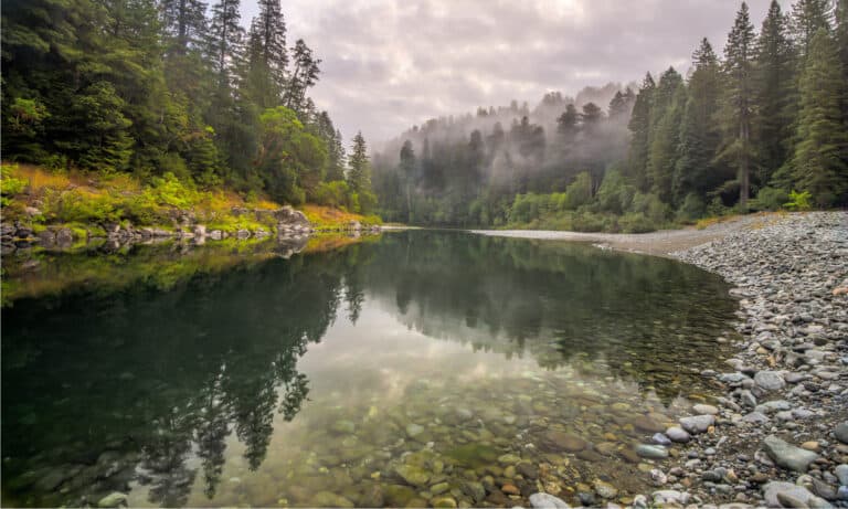 6 Clearest Rivers in the United States (3 Are in Texas!) - A-Z Animals