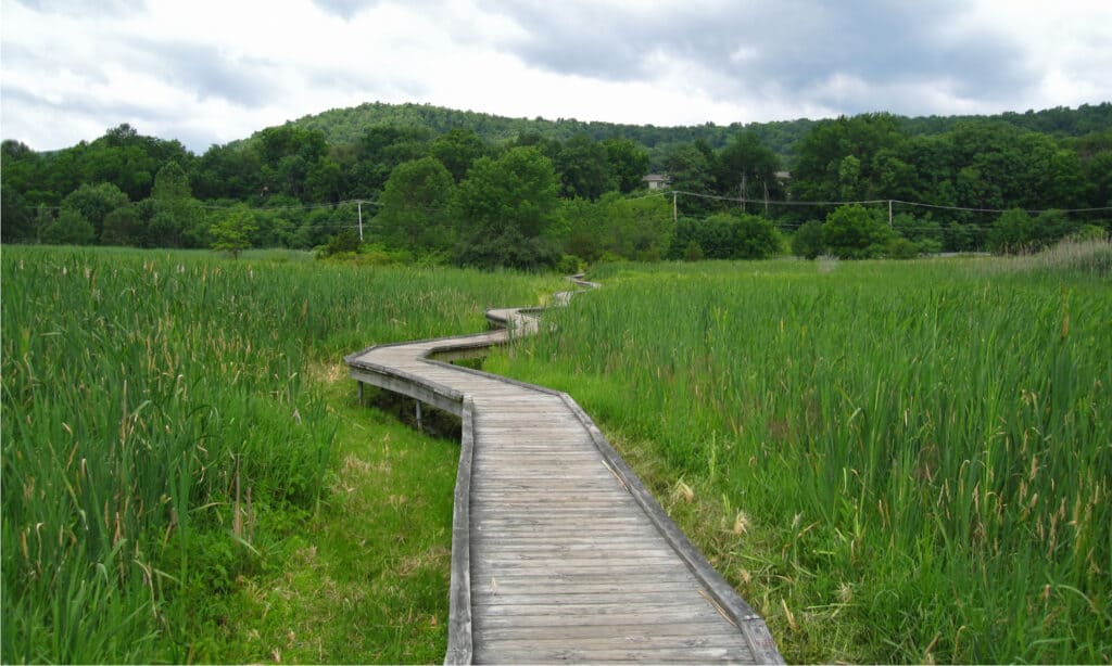 national parks in west virginia