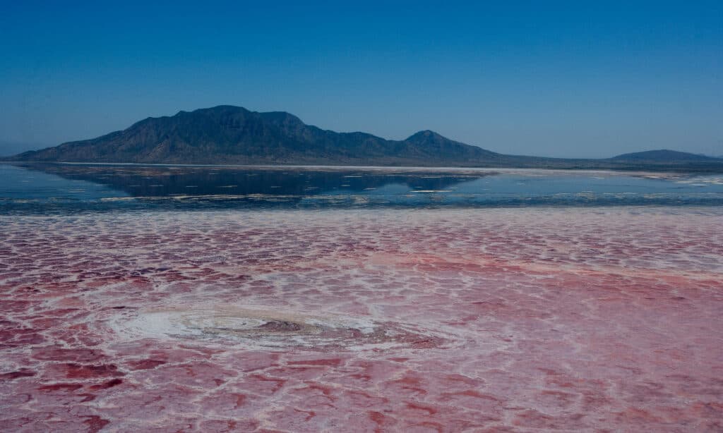 Lake Natron