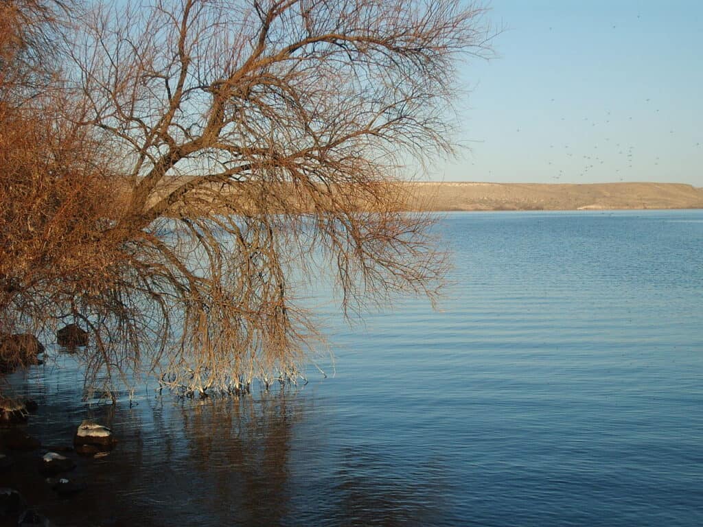 C J Strike Reservoir