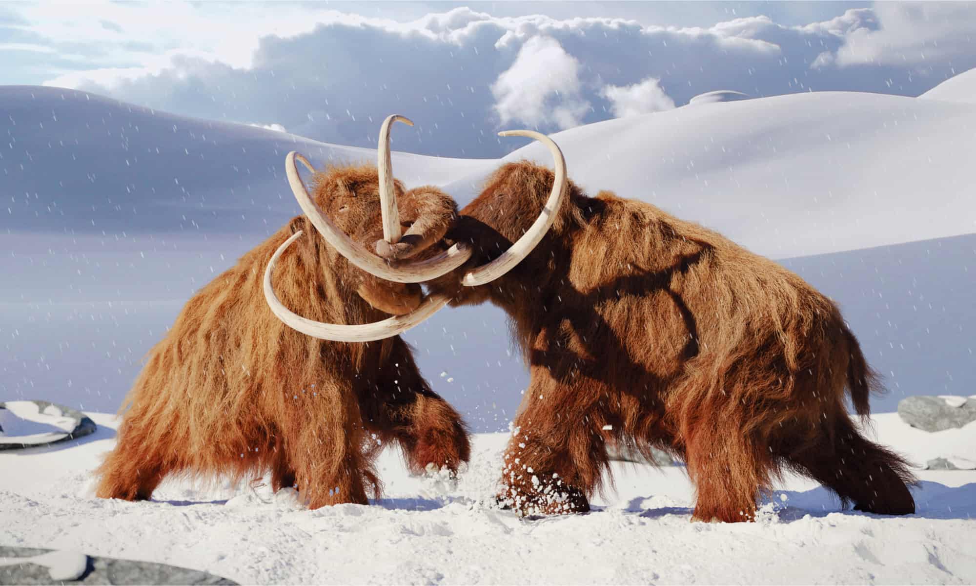 2 woolly mammoths fighting in a snowy landscape