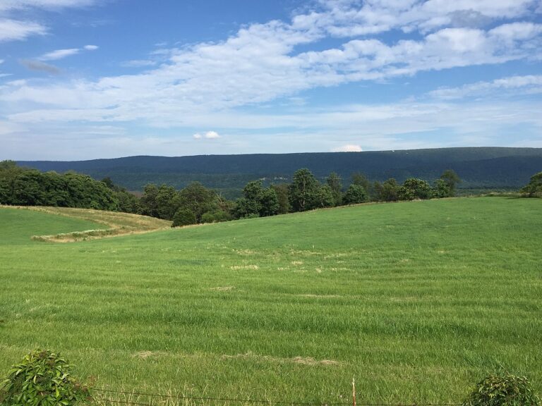 10 Mountains in West Virginia AZ Animals