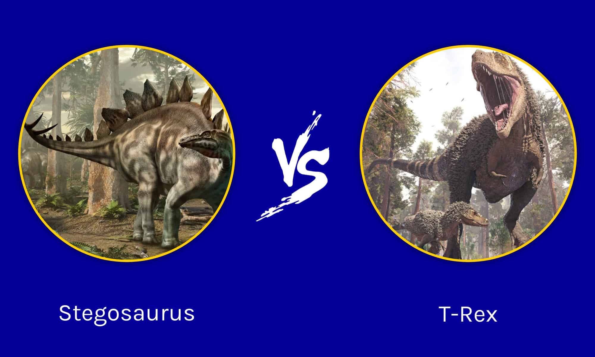 Stegosaurus Vs T Rex Who Would Win A Fight A Z Animals