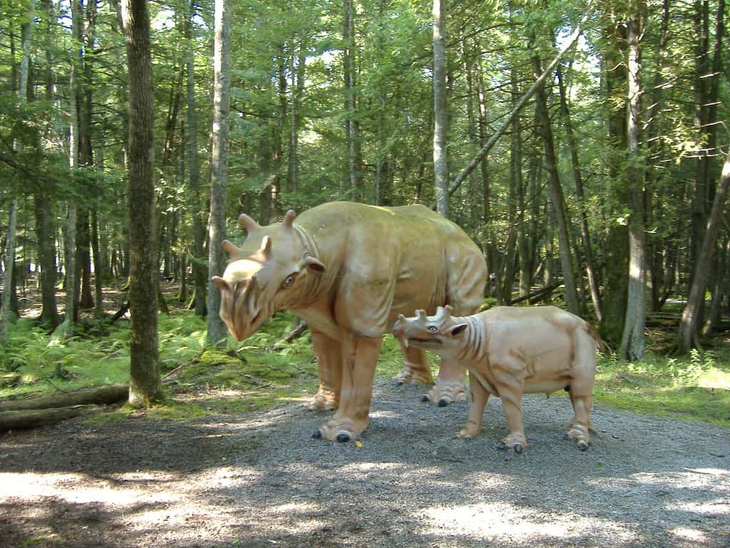 Life-size models of an adult and a young Uintatherium