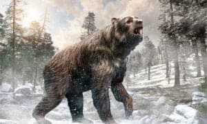 This Ancient Bear Towered Over Polar Bears and Was One of the Largest Ever Picture