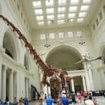 Patagotitan