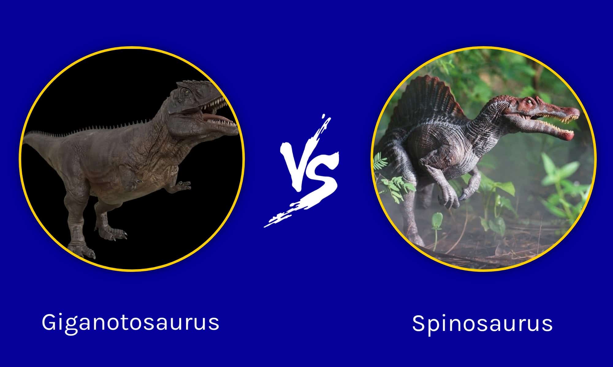 Giganotosaurus Vs Spinosaurus Who Would Win In A Fight Imp World 7955