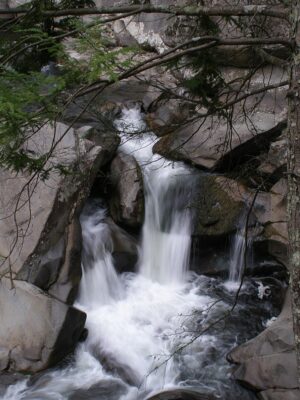 Every Tennessean Needs to Know About These 10 Amazing Gatlinburg ...