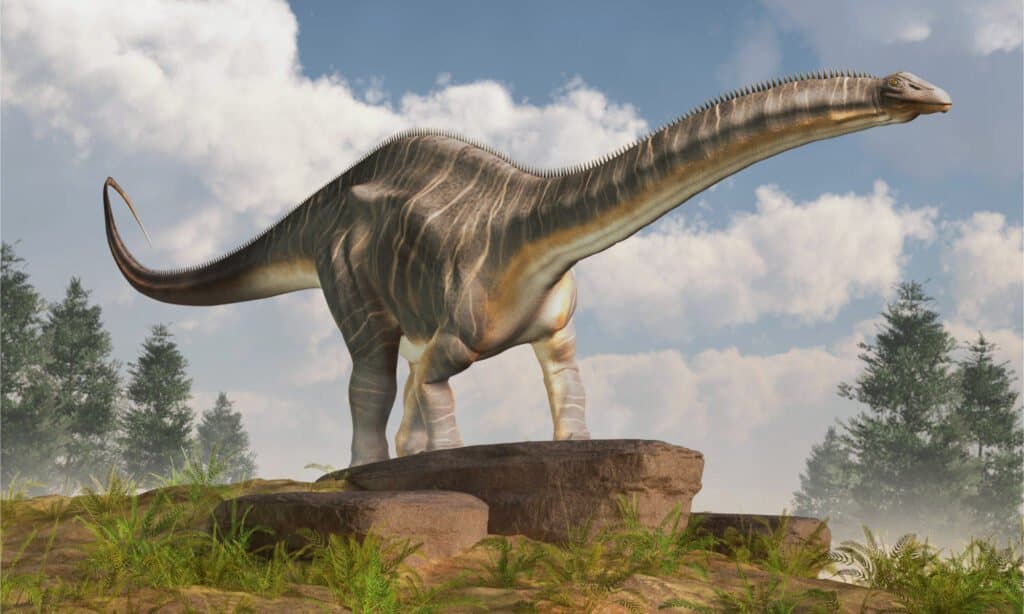 3D rendering of Apatosaurus