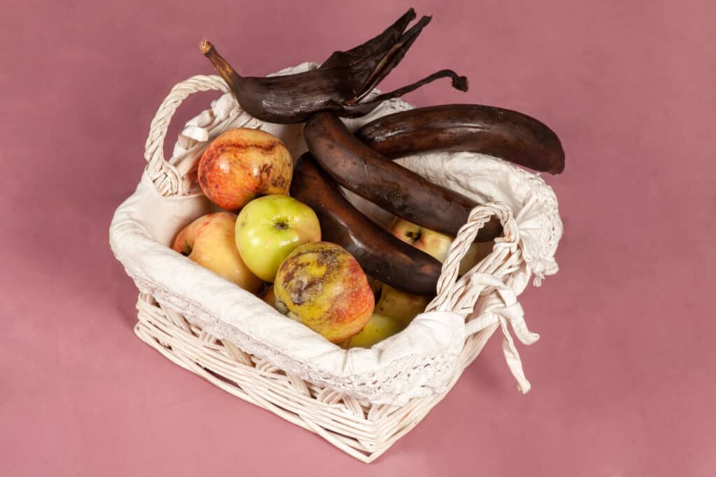 Basket of rotting fruit