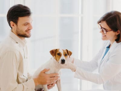 A 4 Best Pet Insurance Companies