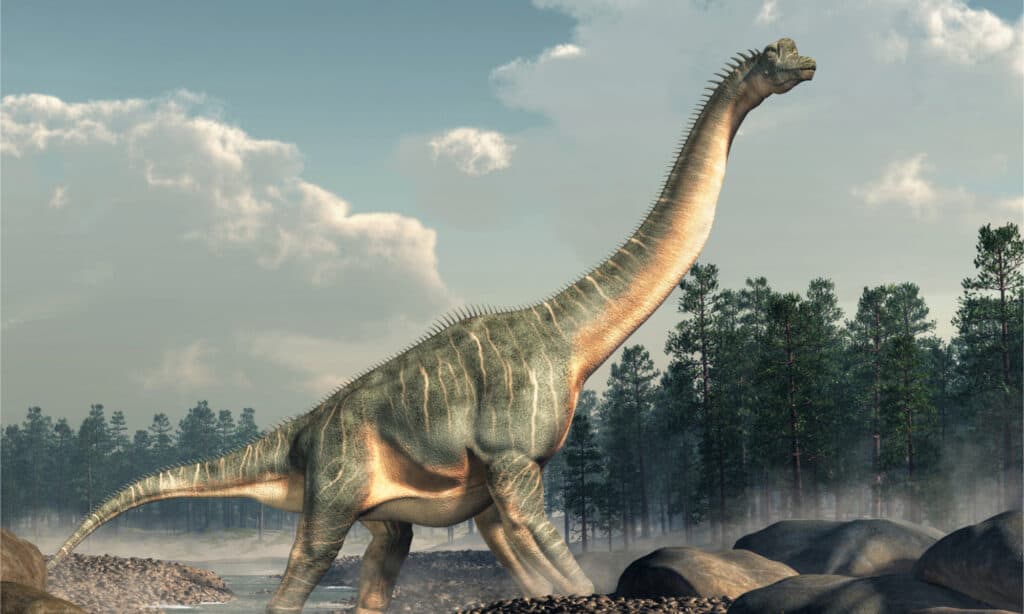 3D rendering of a Brachiosaurus