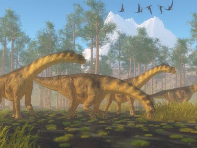 A Discover Camarasaurus: Where It Roamed, Diet, Predators, and More!