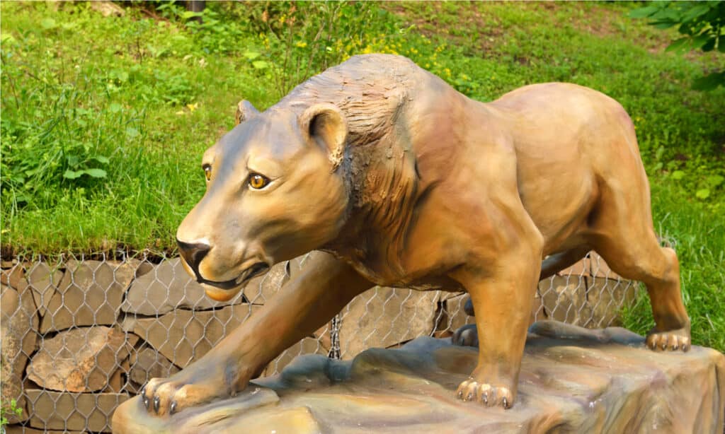 Meet the European Cave Lion - A Cat So Big, It Hunted Bears - A-Z Animals