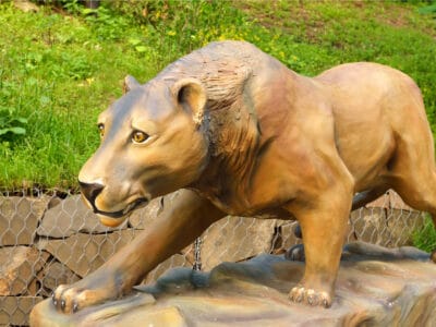 A What Were Cave Lions, The 12-Foot-Long Top Ice Age Predator?