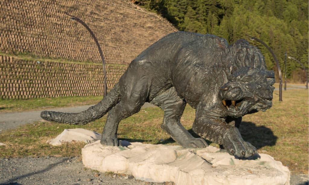 cave lion size comparison