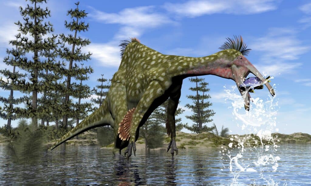 Deinocheirus fishing