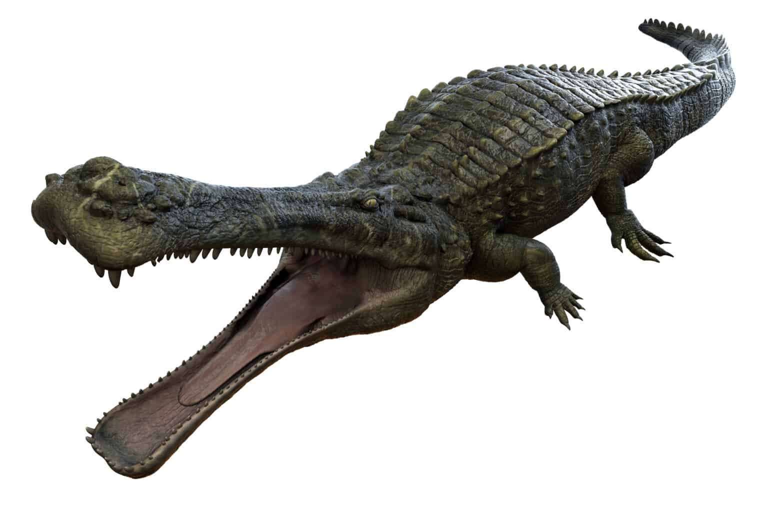 9 Ancient Dinosaurs That Were Like Giant Alligators - A-Z Animals