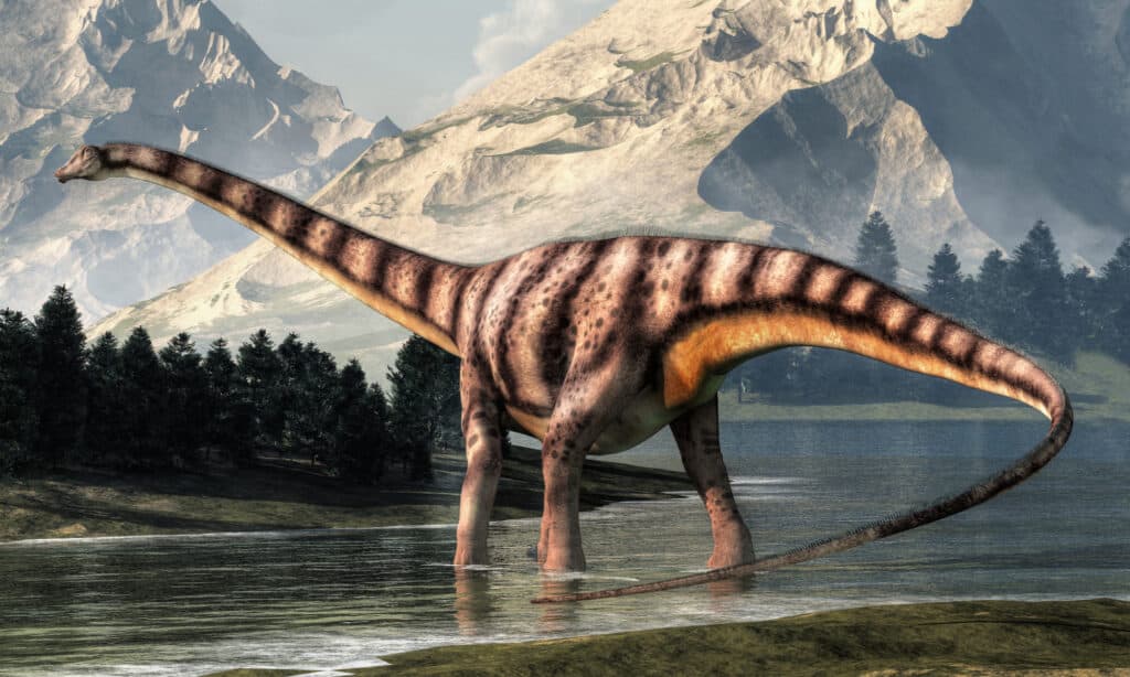 3D rendering of Diplodocus