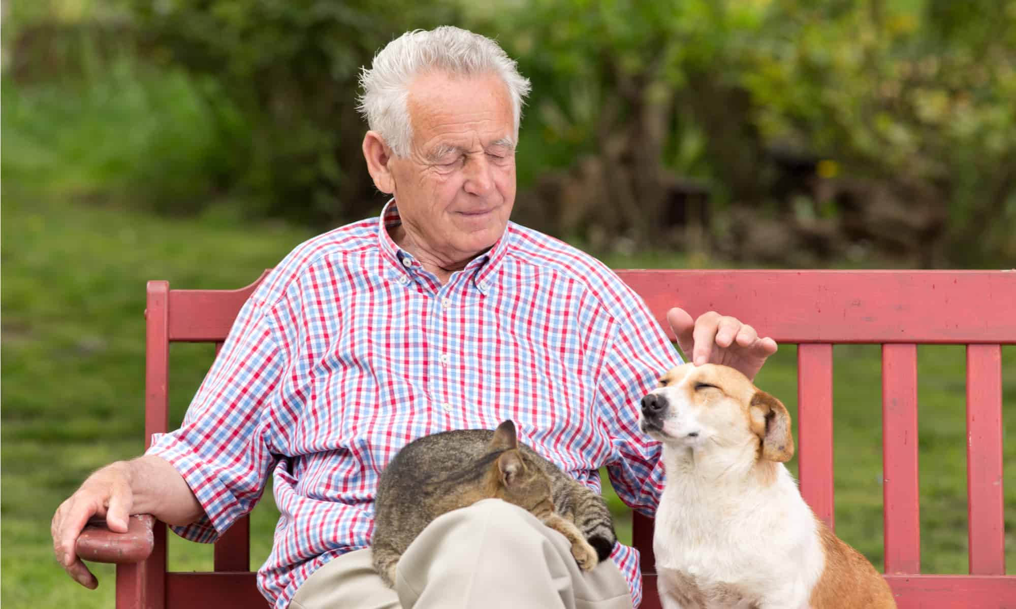 After your pet. Look after Pets. Man looks after Pets. Lookin after Pets. Old men Pet.