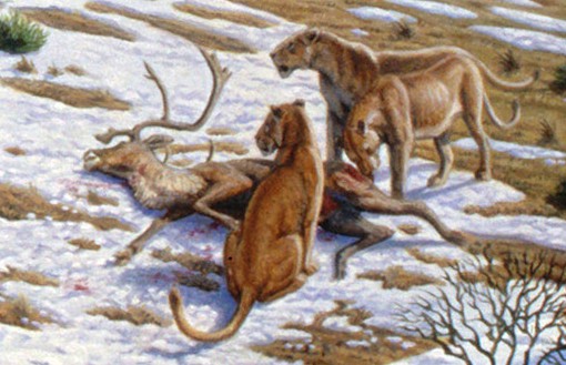 Artist's rendering of two European cave lions next to a dead reindeer in the snow