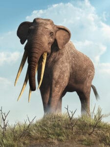 Meet The Gigantic Ancient Elephant With FOUR Deadly Tusks Picture