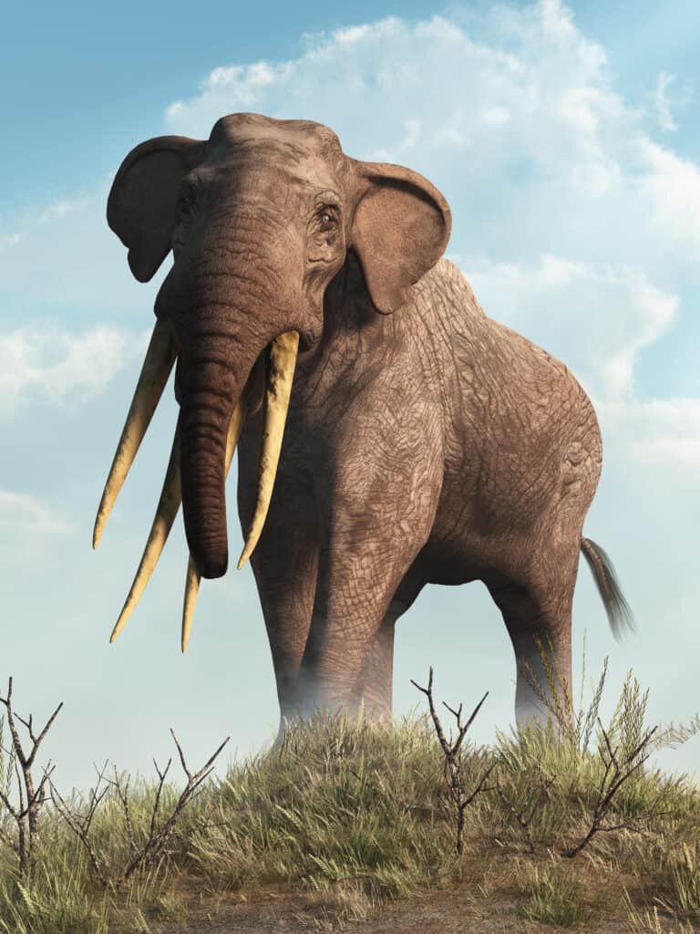 Meet The Gigantic Ancient Elephant With FOUR Deadly Tusks - A-Z Animals