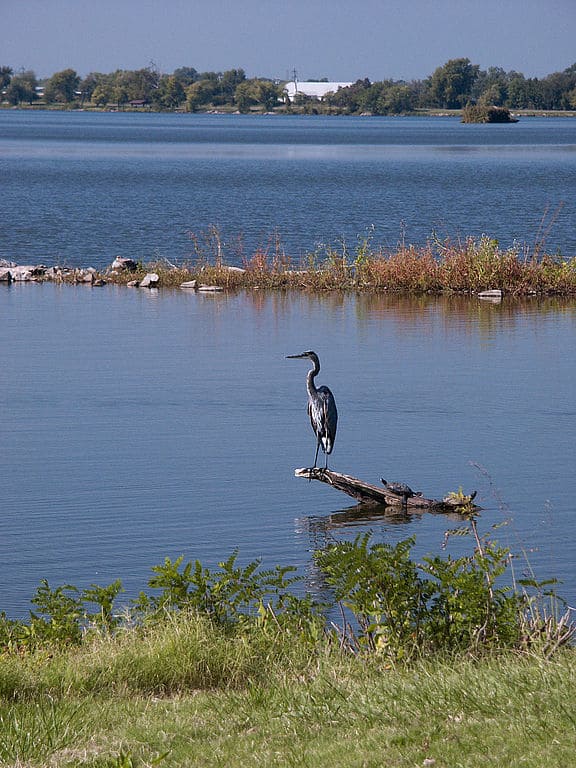 Horseshoe Lake Illinois