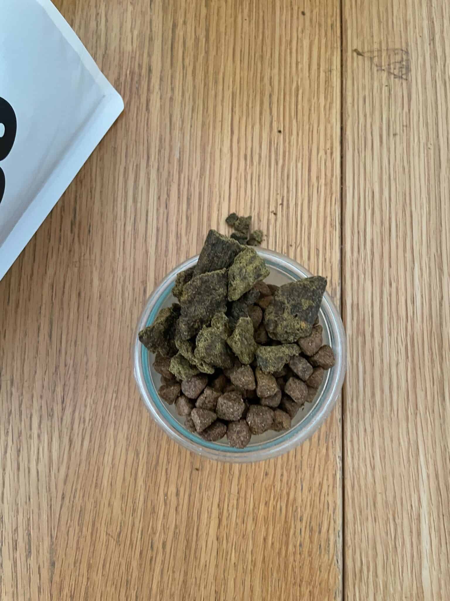 Sundays Dog Food Complete Review with Pros, Cons, and Our Experience