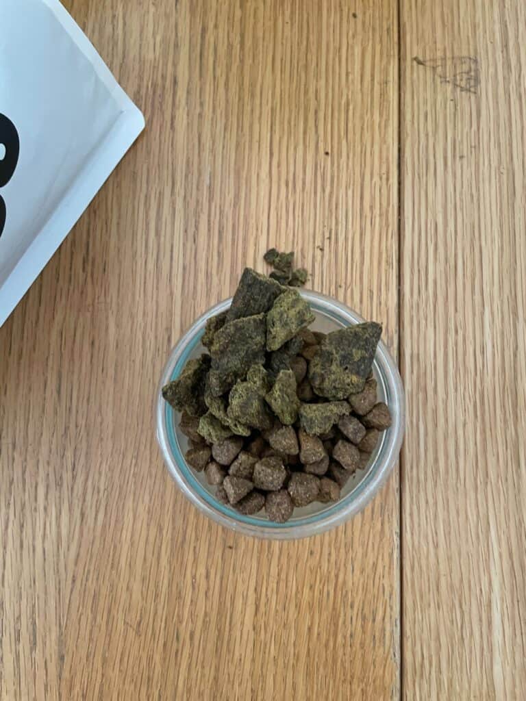 Close up of sundays dog food compared to kibble