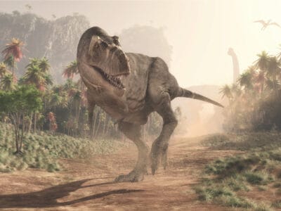 A 3 Dinosaurs That Lived in Virginia (And Where to See Fossils Today)