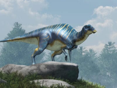 Maiasaura Picture
