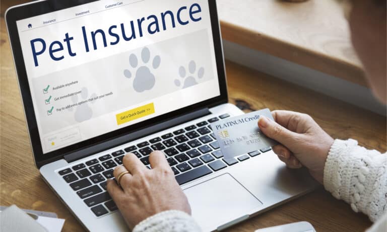 Filling out a pet insurance form online