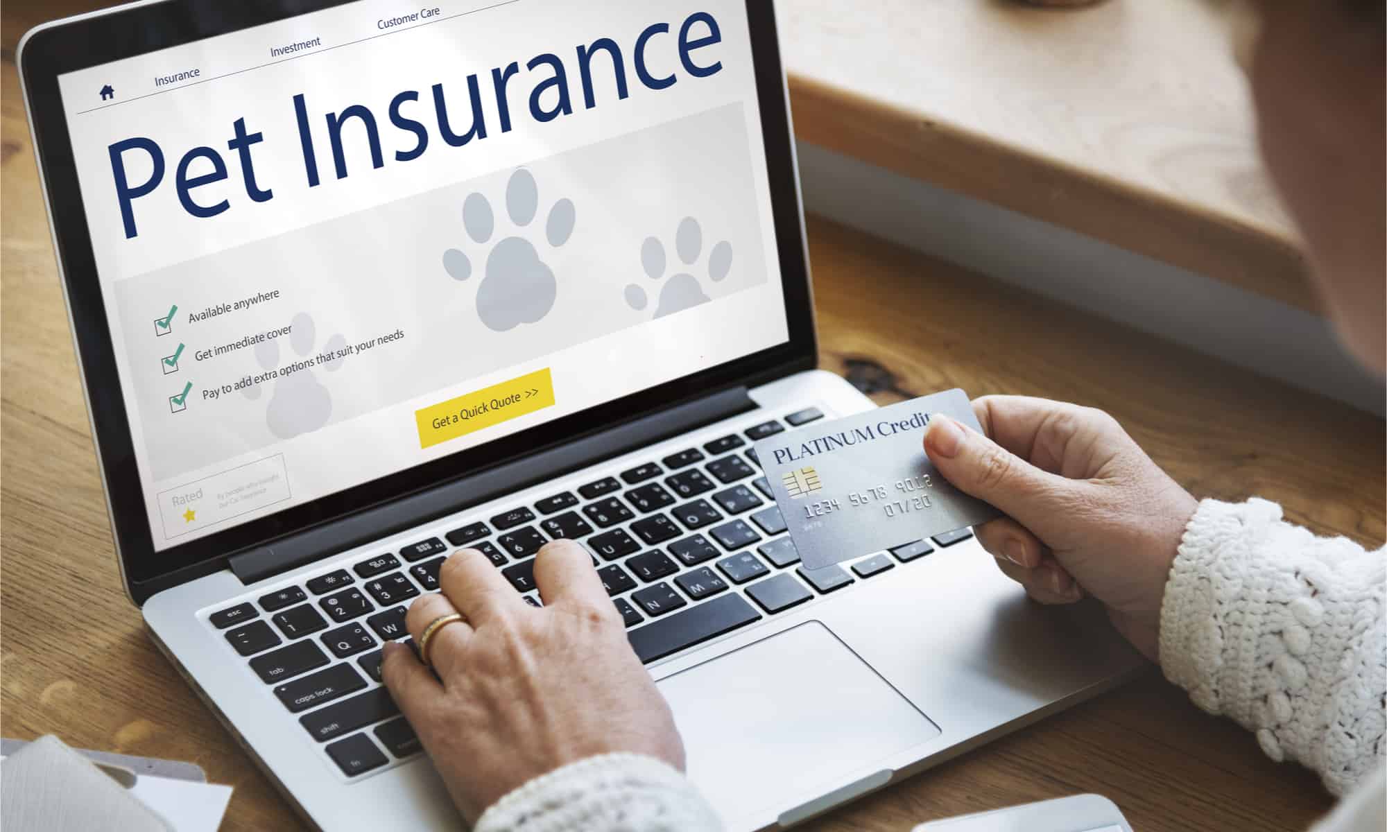 Spot Pet Insurance Review: Pros, Cons, and Coverage - A-Z Animals