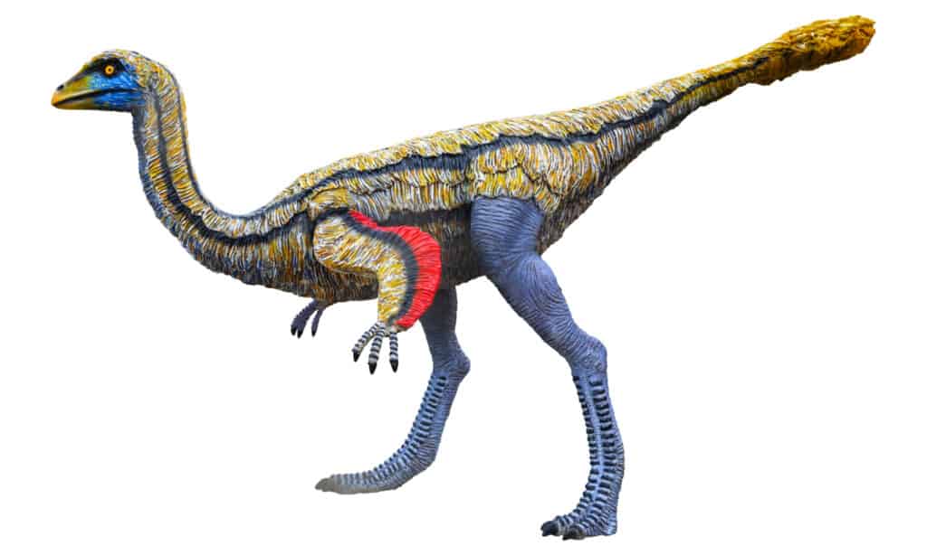 Ornithomimus dinosaurs looked similar to an ostrich