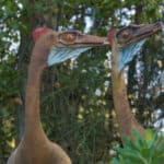 Ornithomimus