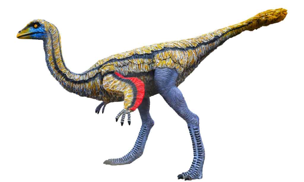Ornithomimus is a genus of ornithomimid dinosaurs from the Late Cretaceous Period. They were covered in light blue scales.