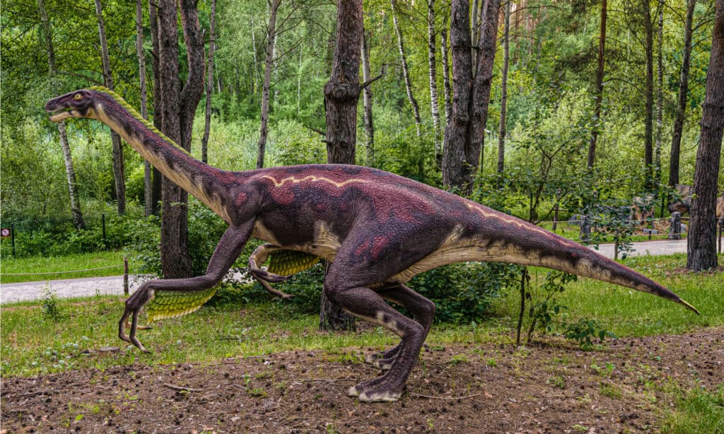 Ornithomimus had long arms and hands with curved necks