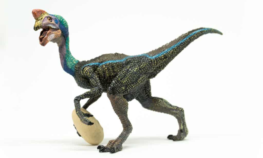 Oviraptor tenant un oeuf