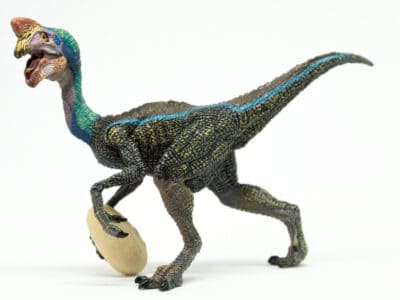 A Was This 5ft Prehistoric Bird an Egg Thief, or Not?