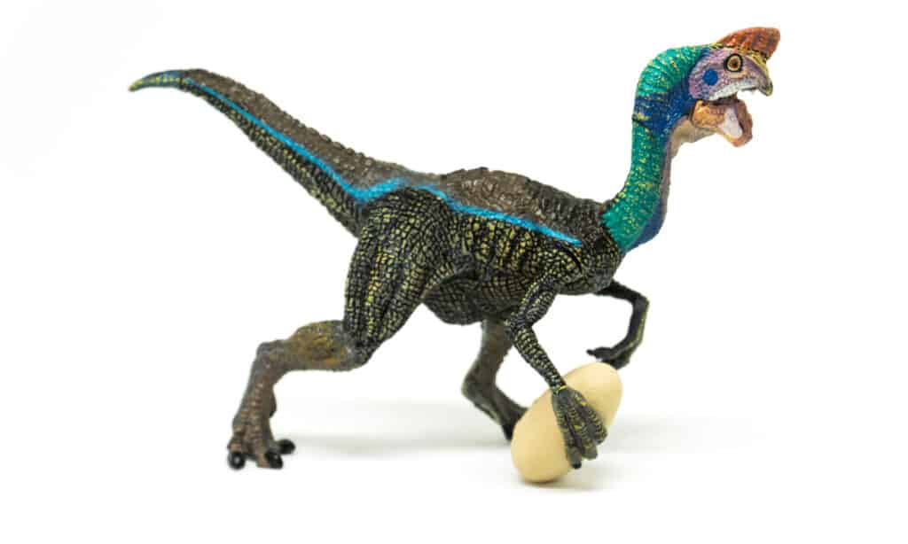 Oviraptor with egg on white background