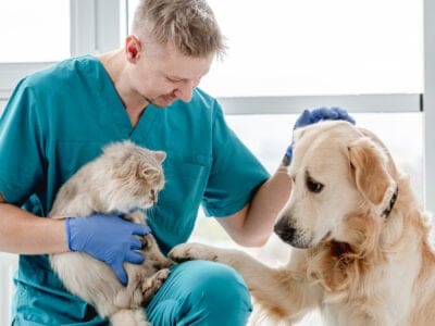 A Pets Best Pet Insurance Review: Pros, Cons and Coverage