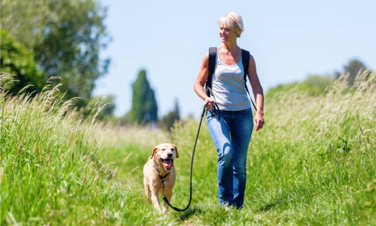 Poop bags for your dog