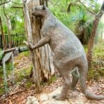 Short-faced kangaroo