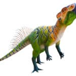 Psittacosaurus