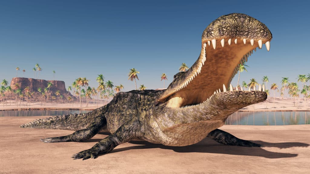 What's the difference between a deinosuchus and sarcosuchus? Are