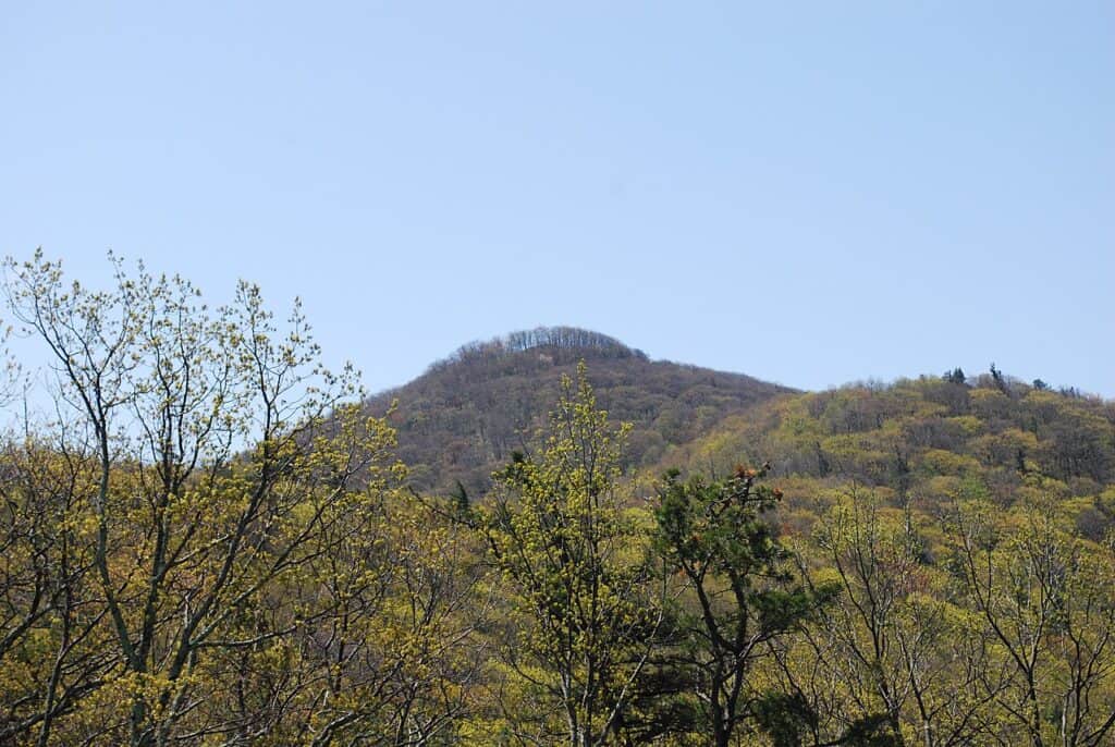 Montagne Shenandoah
