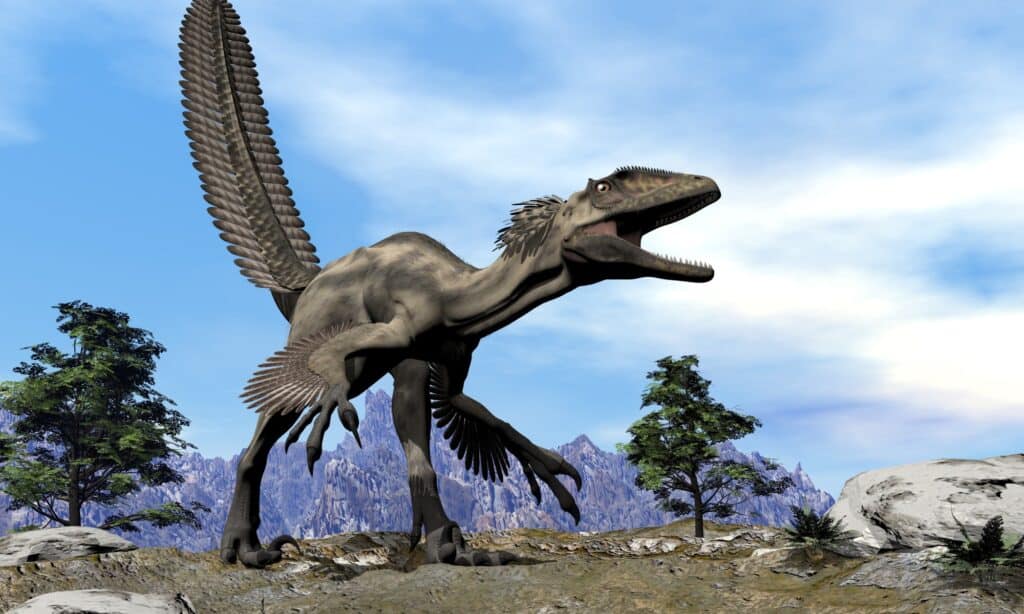 Deinonychus