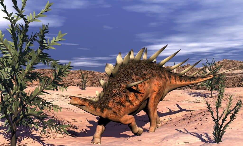 9 Massive Dinosaurs With Spikes And Armor Az Animals